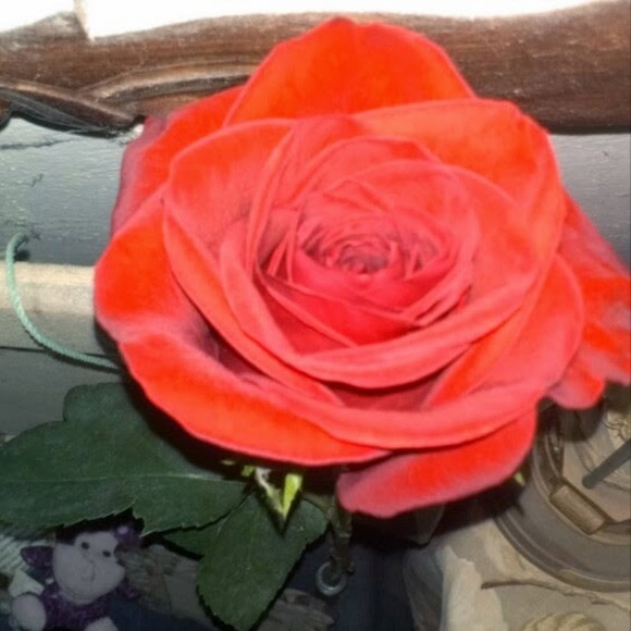 Meet your Posher, Bar - Picture 1 of 1